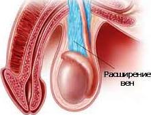 В поднятой или опущенной руке клапаны вен были закрыты