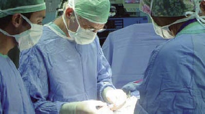 Операция трансплантации 